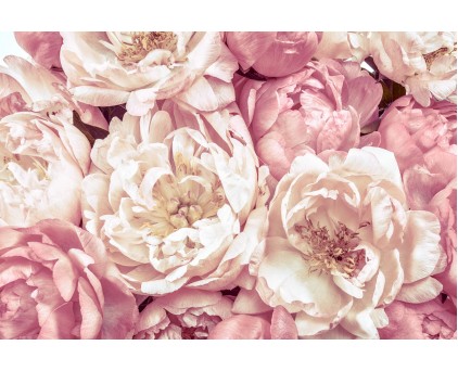 Большие цветы