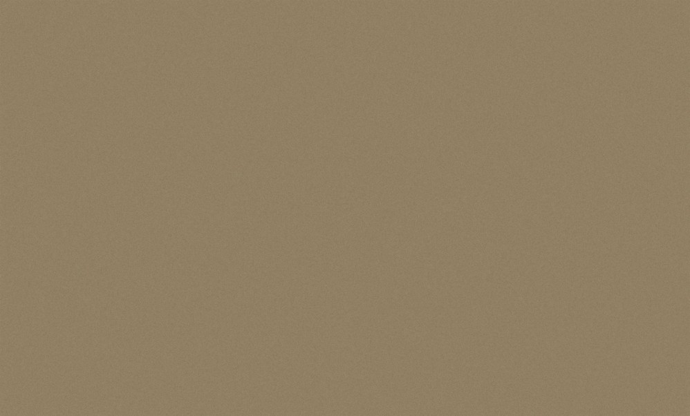 Обои виниловые коричневые однотонные Антураж Shine арт. 168435-02